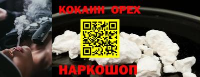 дмт Тара