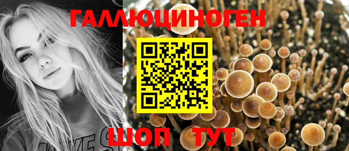 Галлюциногенные грибы мухоморы Асино