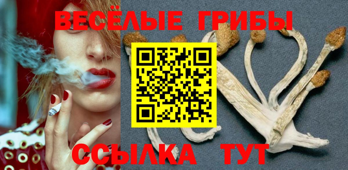 Асино  Галлюциногенные грибы ЛСД  Вход с VPN 